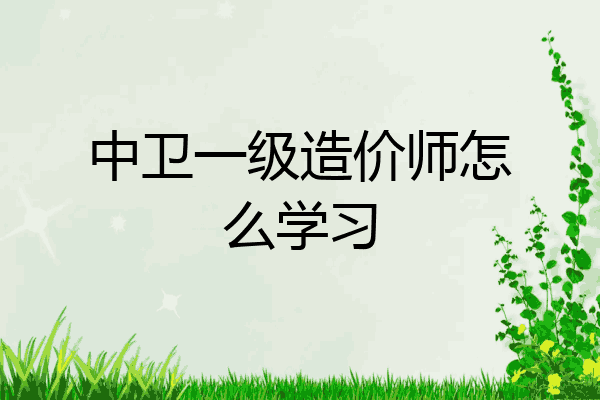 中卫一级造价师怎么学习