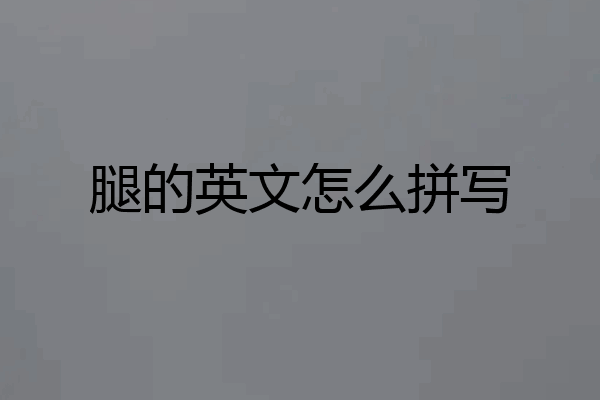 腿的英文怎么拼写