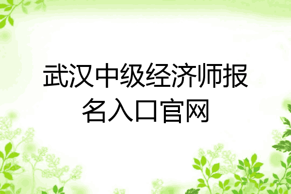 武汉中级经济师报名入口官网