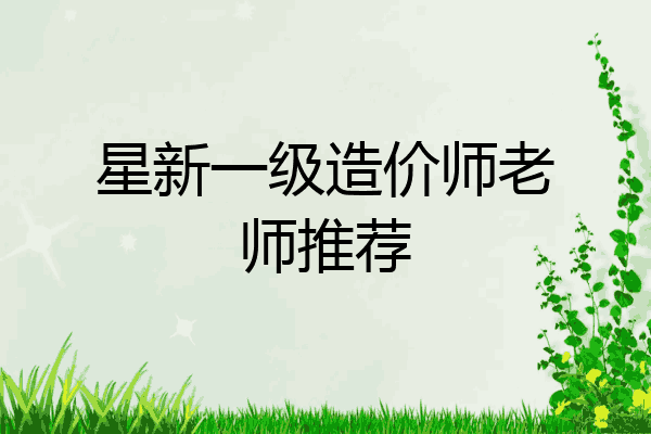 星新一级造价师老师推荐