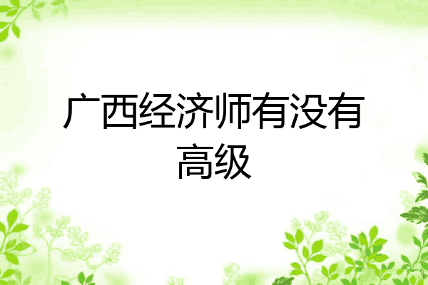广西经济师有没有高级