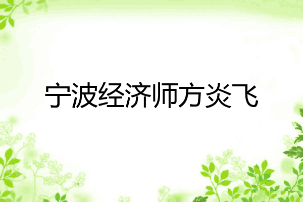宁波经济师方炎飞