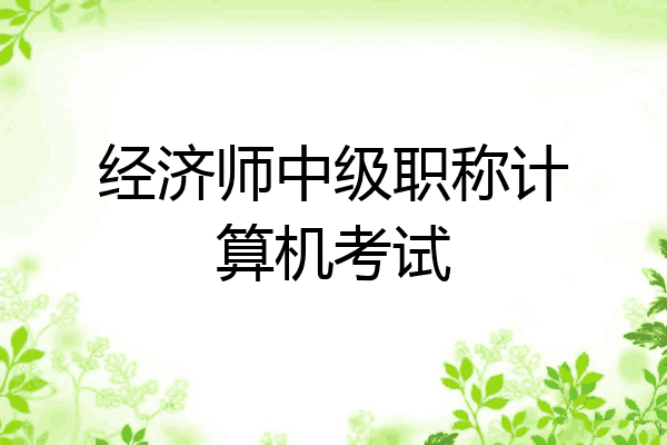 经济师中级职称计算机考试