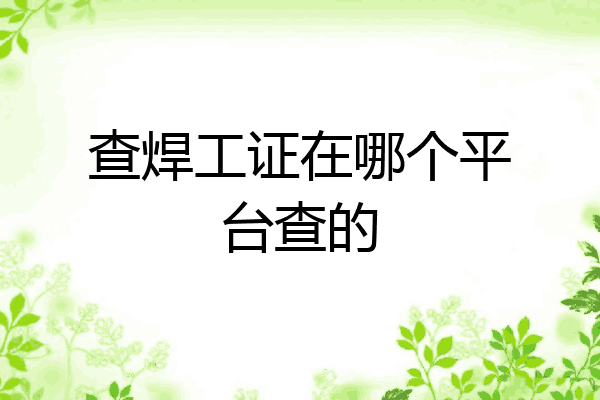 查焊工证在哪个平台查的