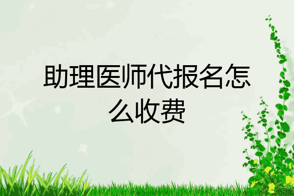 助理医师代报名怎么收费