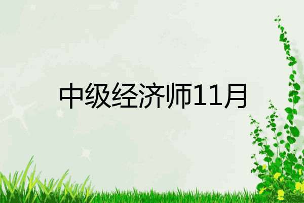 中级经济师11月