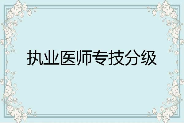 执业医师专技分级
