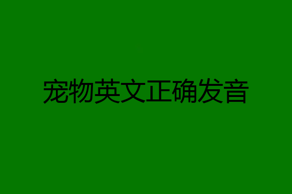 宠物英文正确发音