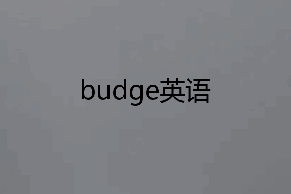 budge英语
