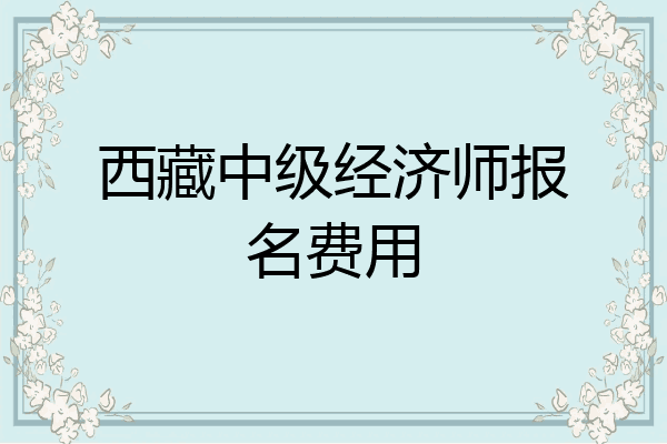 西藏中级经济师报名费用