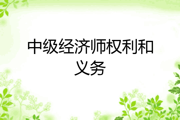 中级经济师权利和义务