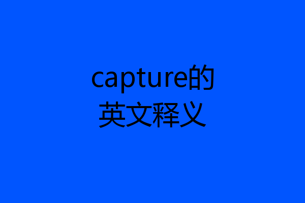 capture的英文释义