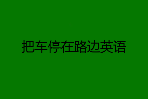 把车停在路边英语