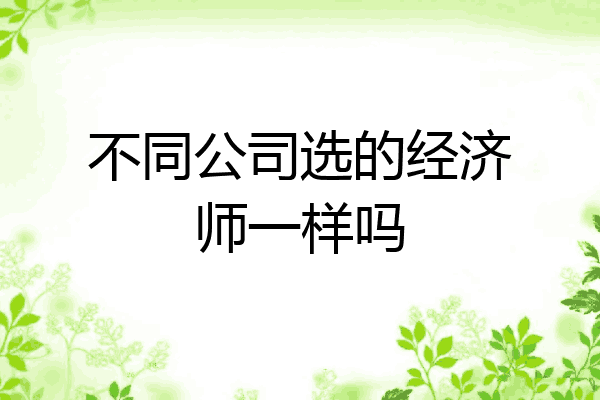 不同公司选的经济师一样吗