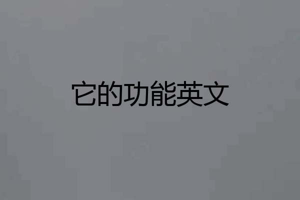 它的功能英文