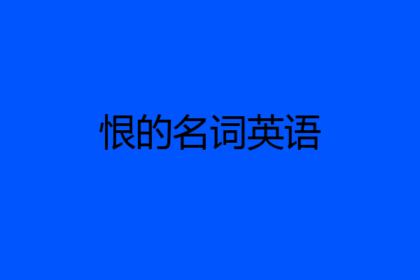 恨的名词英语