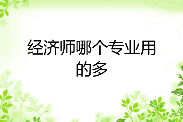 经济师哪个专业用的多