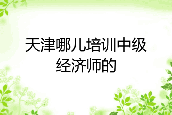 天津哪儿培训中级经济师的