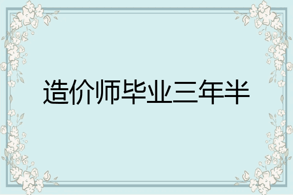 造价师毕业三年半
