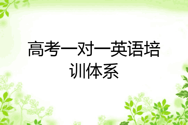高考一对一英语培训体系