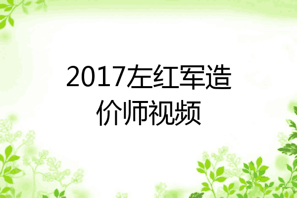 2017左红军造价师视频