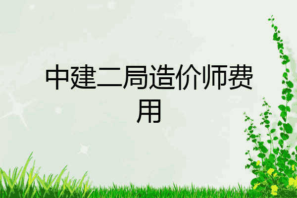 中建二局造价师费用