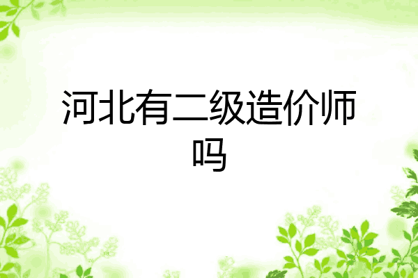 河北有二级造价师吗