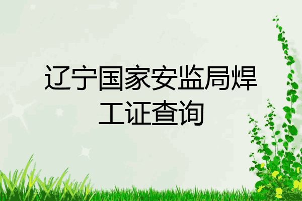 辽宁国家安监局焊工证查询