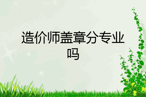 造价师盖章分专业吗