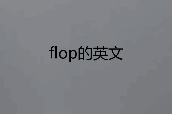 flop的英文