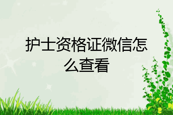 护士资格证微信怎么查看