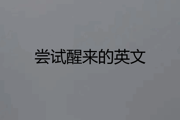 尝试醒来的英文