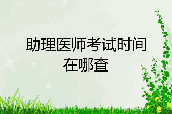 助理医师考试时间在哪查