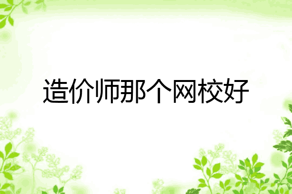 造价师那个网校好