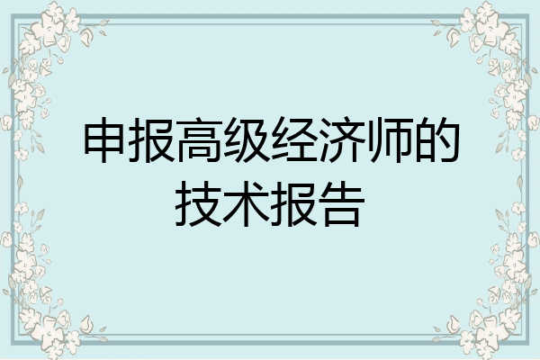 申报高级经济师的技术报告