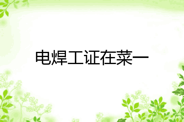 电焊工证在菜一