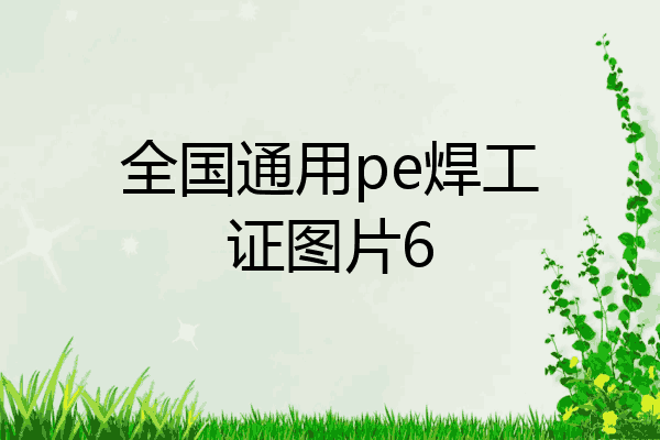 全国通用pe焊工证图片6