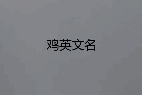 鸡英文名