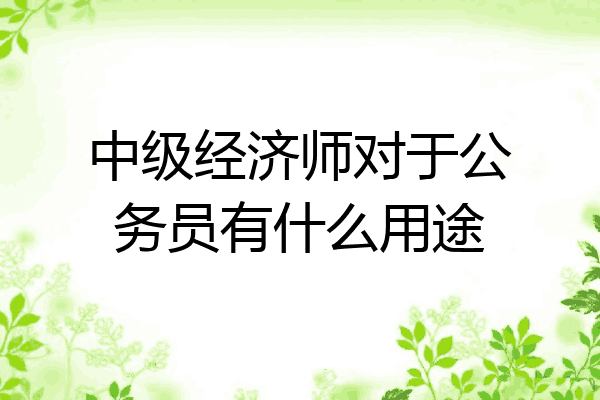 中级经济师对于公务员有什么用途