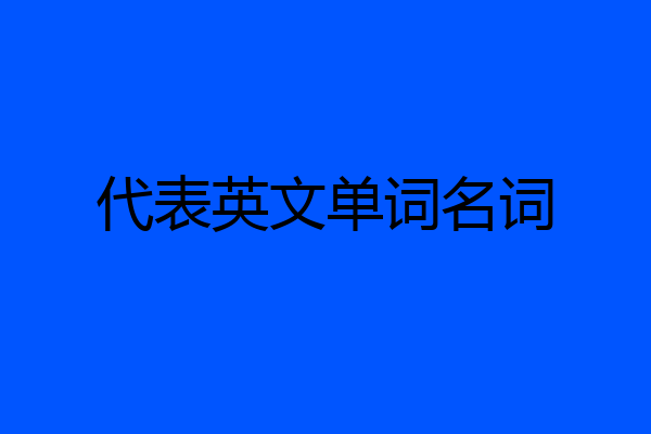 代表英文单词名词