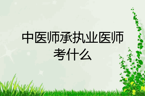 中医师承执业医师考什么