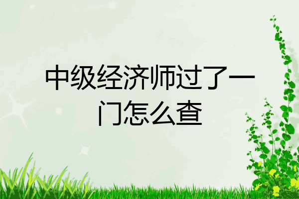 中级经济师过了一门怎么查