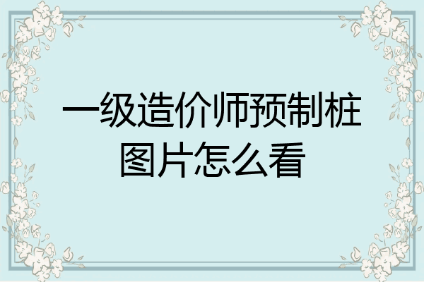 一级造价师预制桩图片怎么看