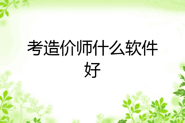考造价师什么软件好