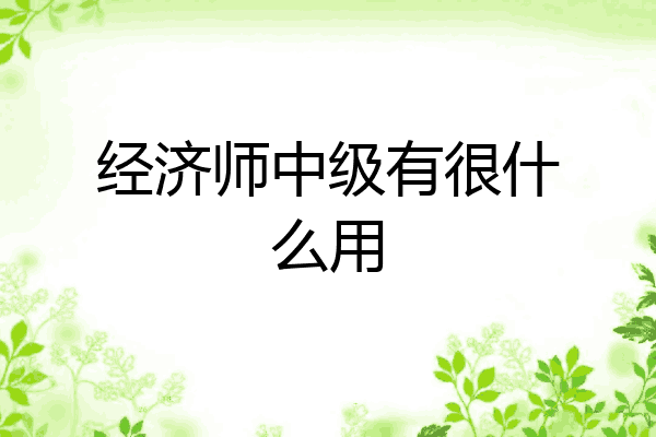 经济师中级有很什么用