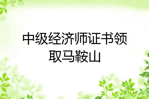 中级经济师证书领取马鞍山