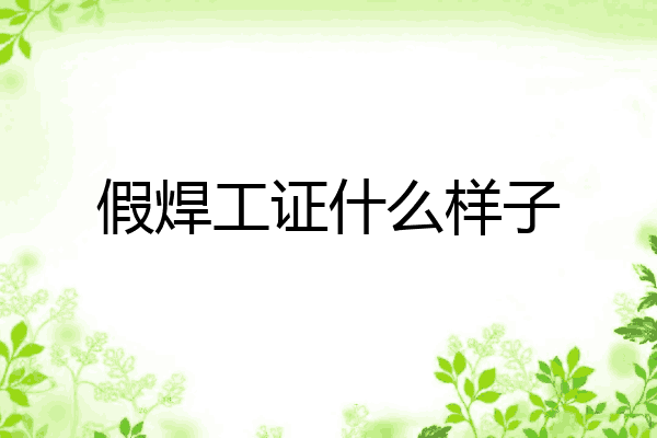 假焊工证什么样子