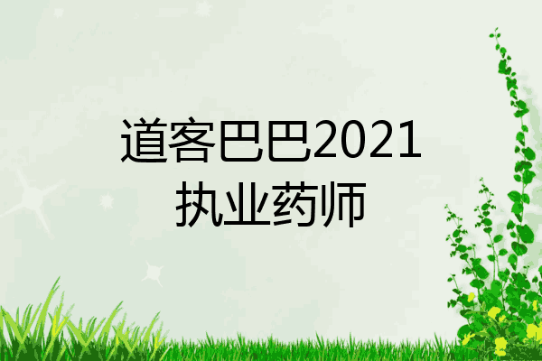 道客巴巴2021执业药师