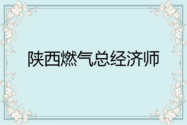 陕西燃气总经济师