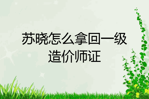 苏晓怎么拿回一级造价师证